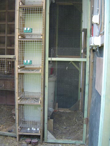 individual perches, with on the right side, a view on the door to compartment 2